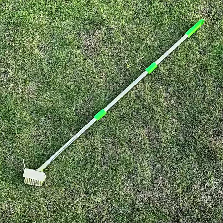 100mm Unkrautentferner, Fugenwerkzeug zum Entfernen von Unkraut und Moos, Langstieliger Stahldraht-Rubbler, Unkraut- und Moosentferner-Werkzeuge